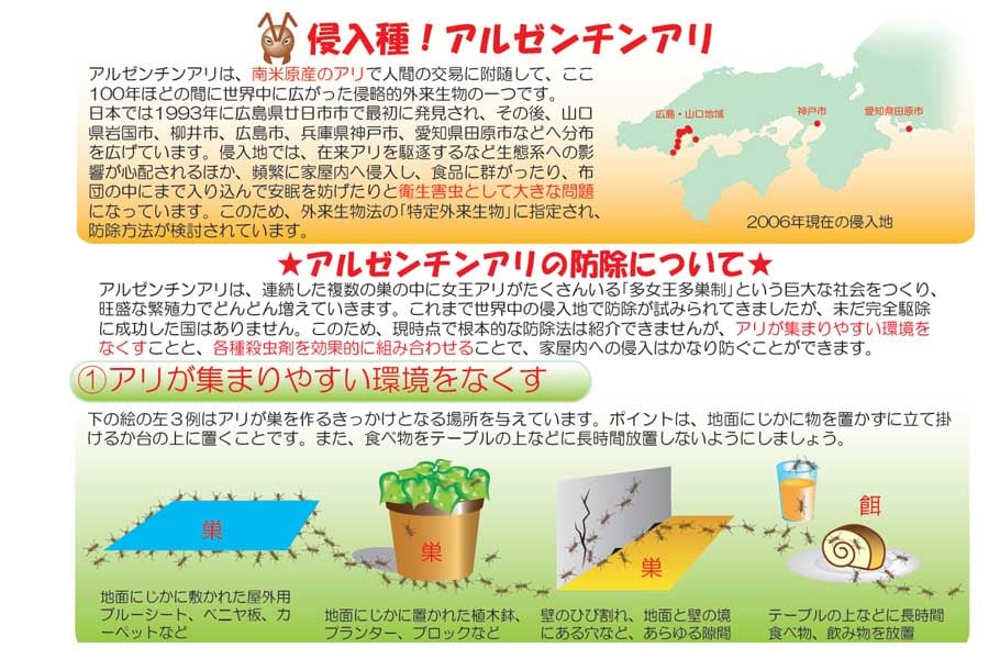 アルゼンチンアリの見分け方（画像：環境省）