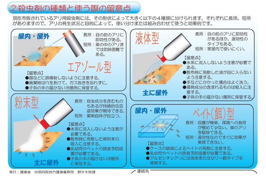 アルゼンチンアリの見分け方（画像：環境省）