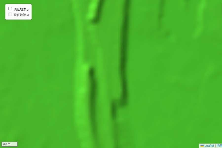 現在の「西武新宿駅」周辺の地形（画像：国土地理院）