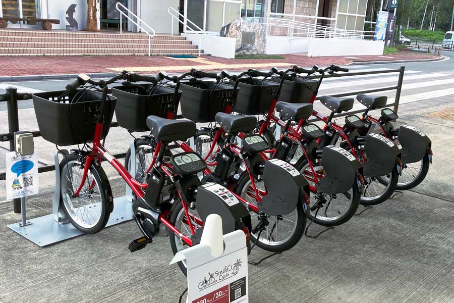 シェアサイクルサービス（画像：ドコモ・バイクシェア）