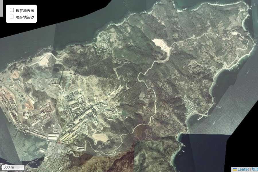 1975年頃に撮影された「佐賀関半島」周辺の航空写真（画像：国土地理院）