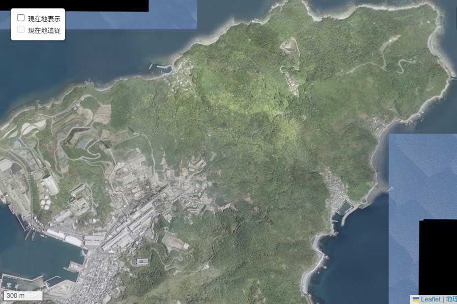 現在の「佐賀関半島」周辺の航空写真（画像：国土地理院）