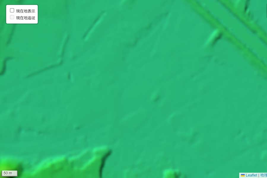 現在の「枚方市駅」周辺の地形（画像：国土地理院）