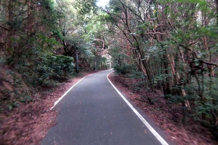 現在でも狭い道路が残っていて、ここもバスが通る道路だ。2020年撮影（画像：碓井益男）