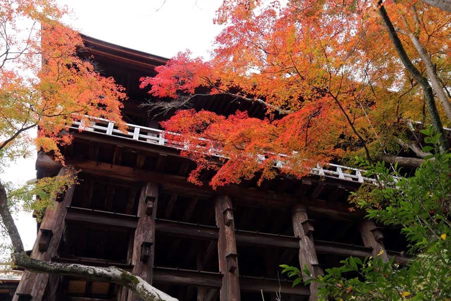 秋の清水寺（画像：写真AC）