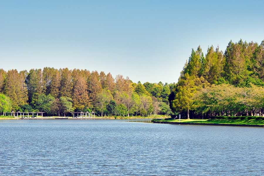 水元公園（画像：写真AC）