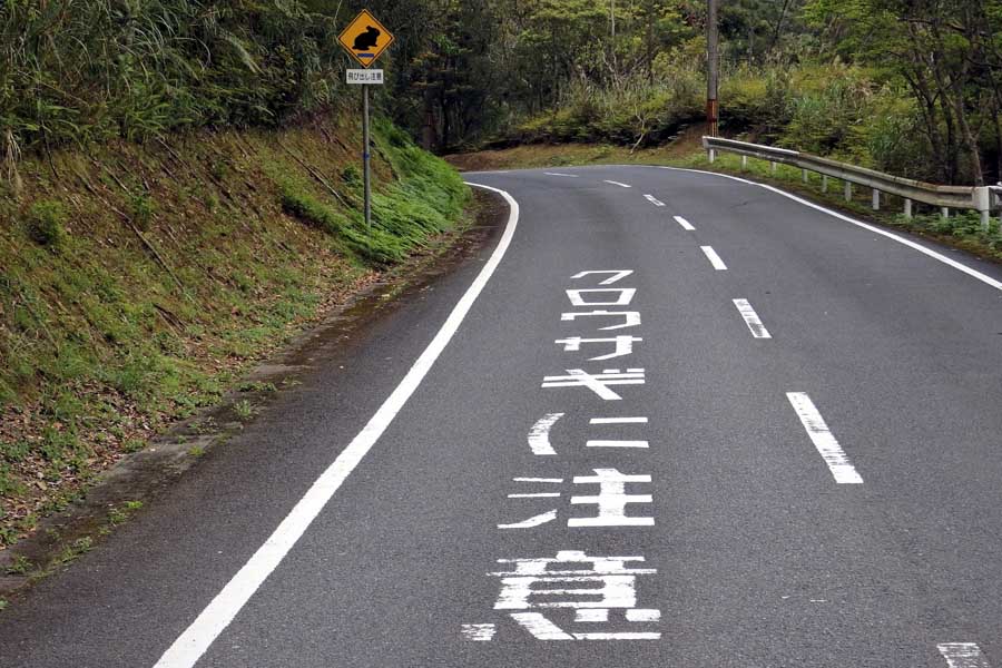 ロードキルのイメージ（画像：写真AC）