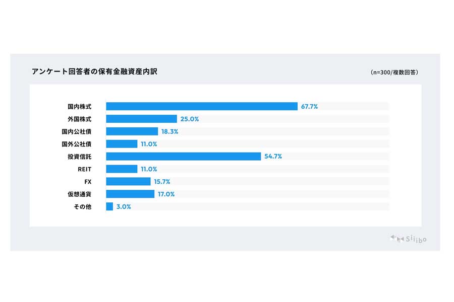2024年の投資動向と2025年の投資意欲に関する意識調査。対象は投資経験がある20代から60代の男女300人（画像：Siiibo証券）