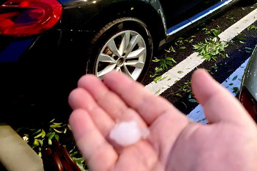 被害額が350万円オーバー！ 雹（ひょう）による被害を受けた車両の様子（画像：Merkmal編集部）