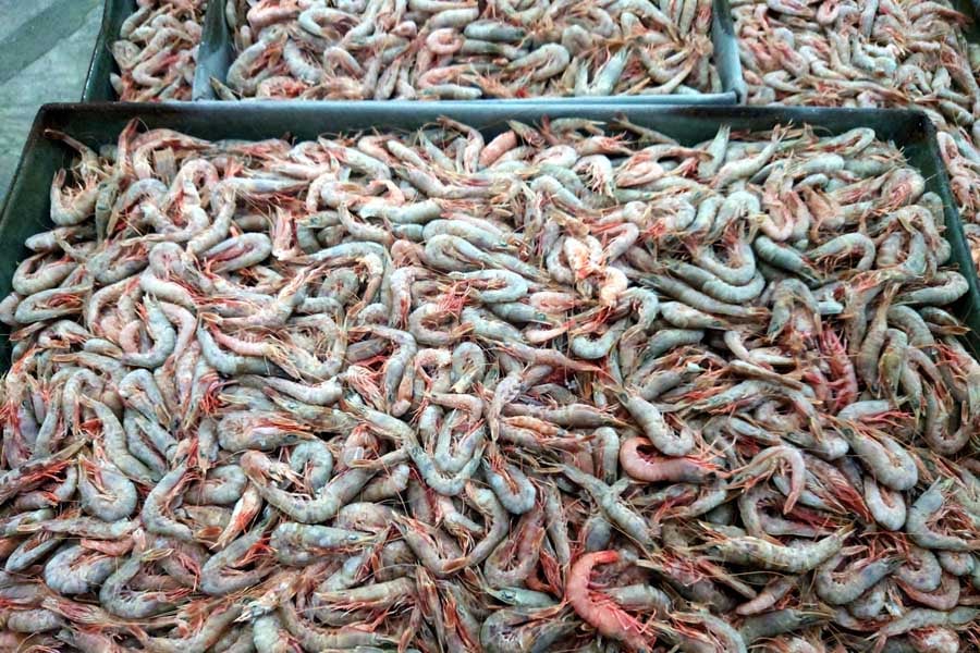 冷凍水産物（画像：写真AC）