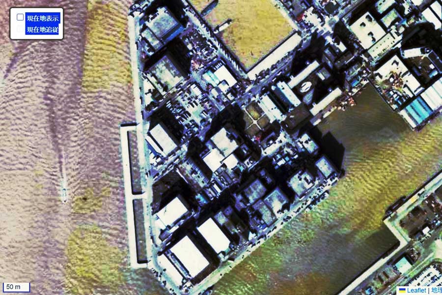 1980年頃の豊海町の航空写真（画像：国土地理院）