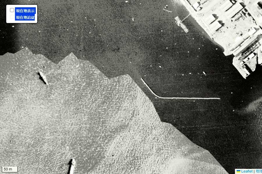 1947年頃の豊海町の航空写真（画像：国土地理院）