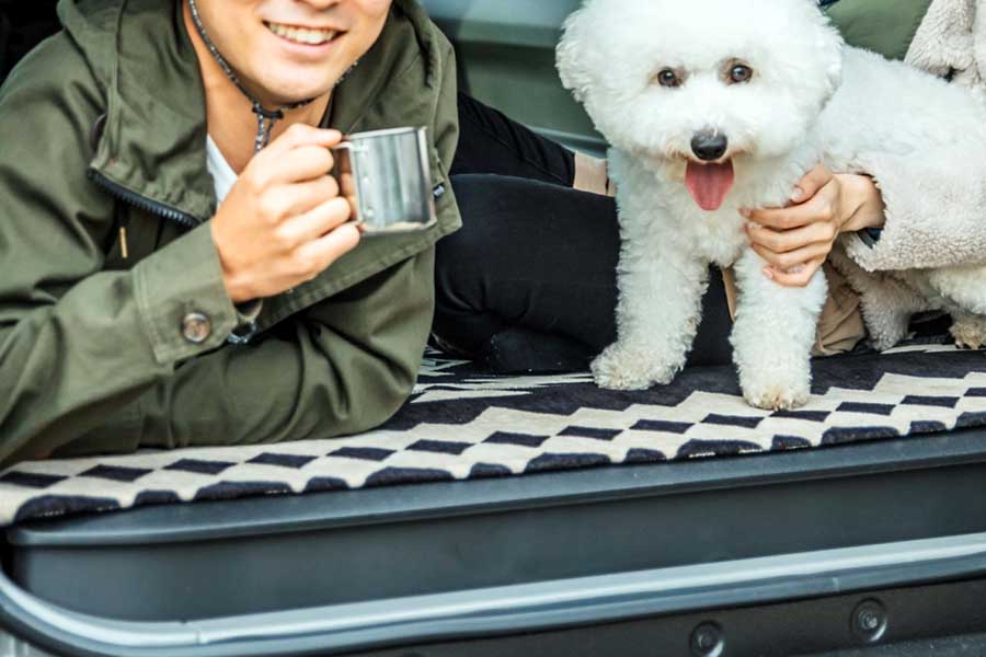 車中泊のイメージ（画像：写真AC）