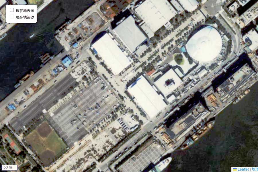 1990年頃の「晴海フラッグ」の航空写真（画像：国土地理院）