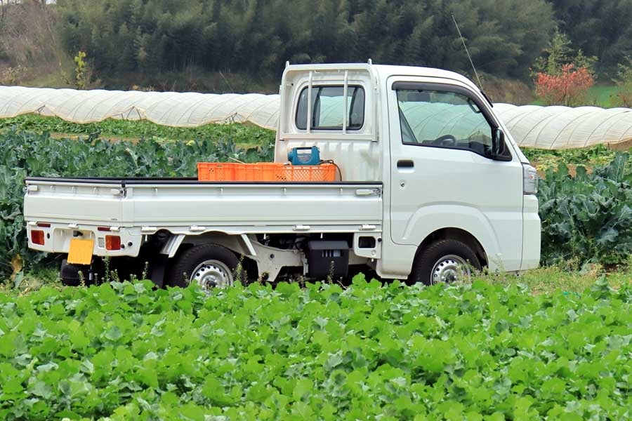 軽トラ（画像：写真AC）
