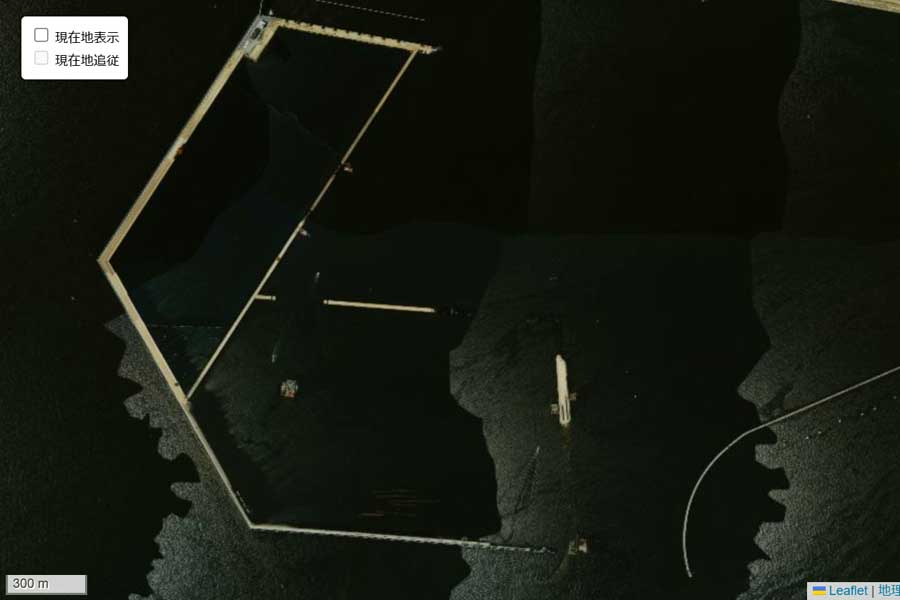 1985年頃の夢洲周辺の航空写真（画像：国土地理院）