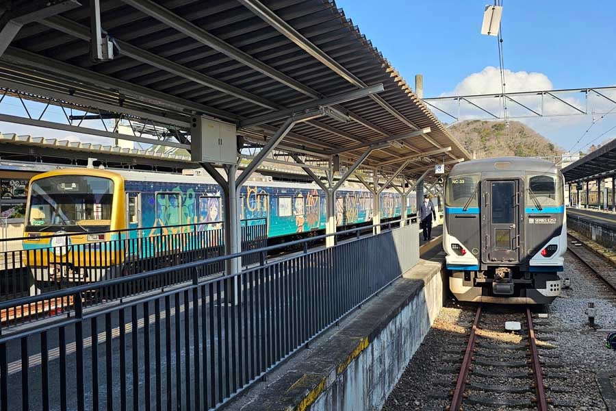 修善寺駅に到着した踊り子9号。2025年1月21日撮影(画像:大塚良治)