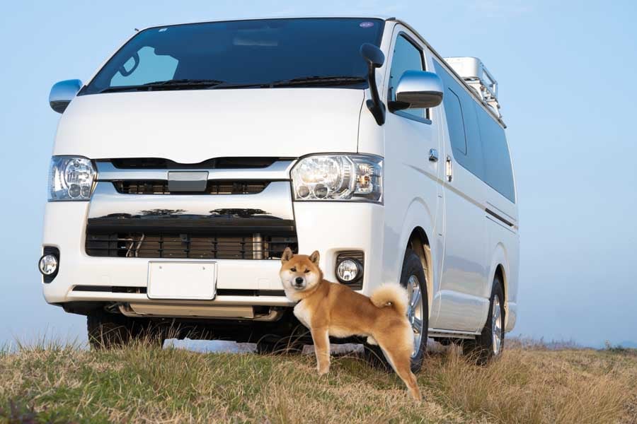自動車(画像:写真AC)