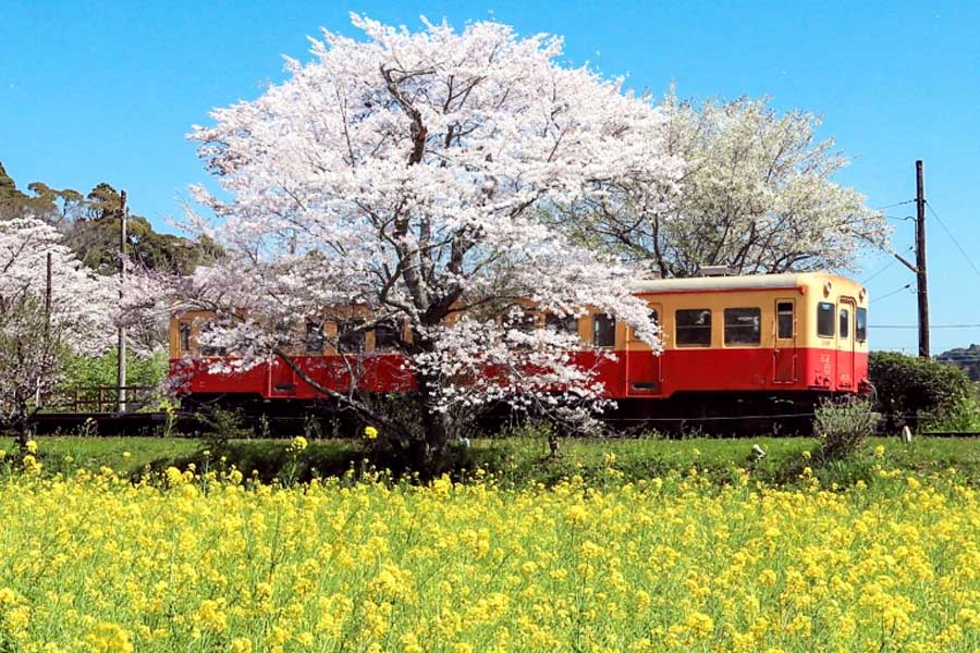 鉄道（画像：写真AC）