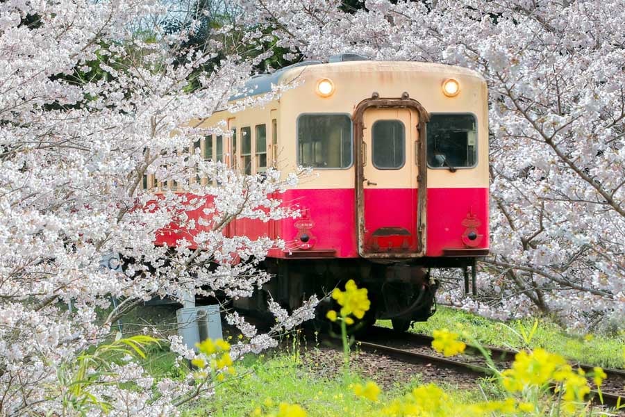 小湊鉄道（画像：写真AC）