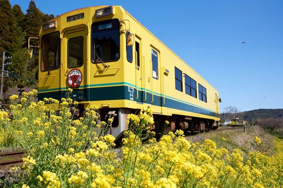 いすみ鉄道（画像：写真AC）