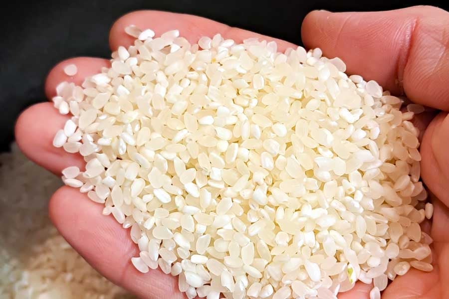 コメ（画像：写真AC）