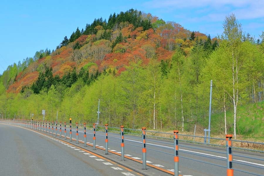 ワイヤーロープの安全性検証（画像：写真AC）