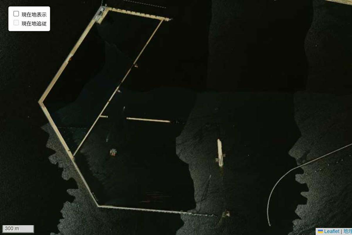 1985年頃の夢洲周辺の航空写真（画像：国土地理院）