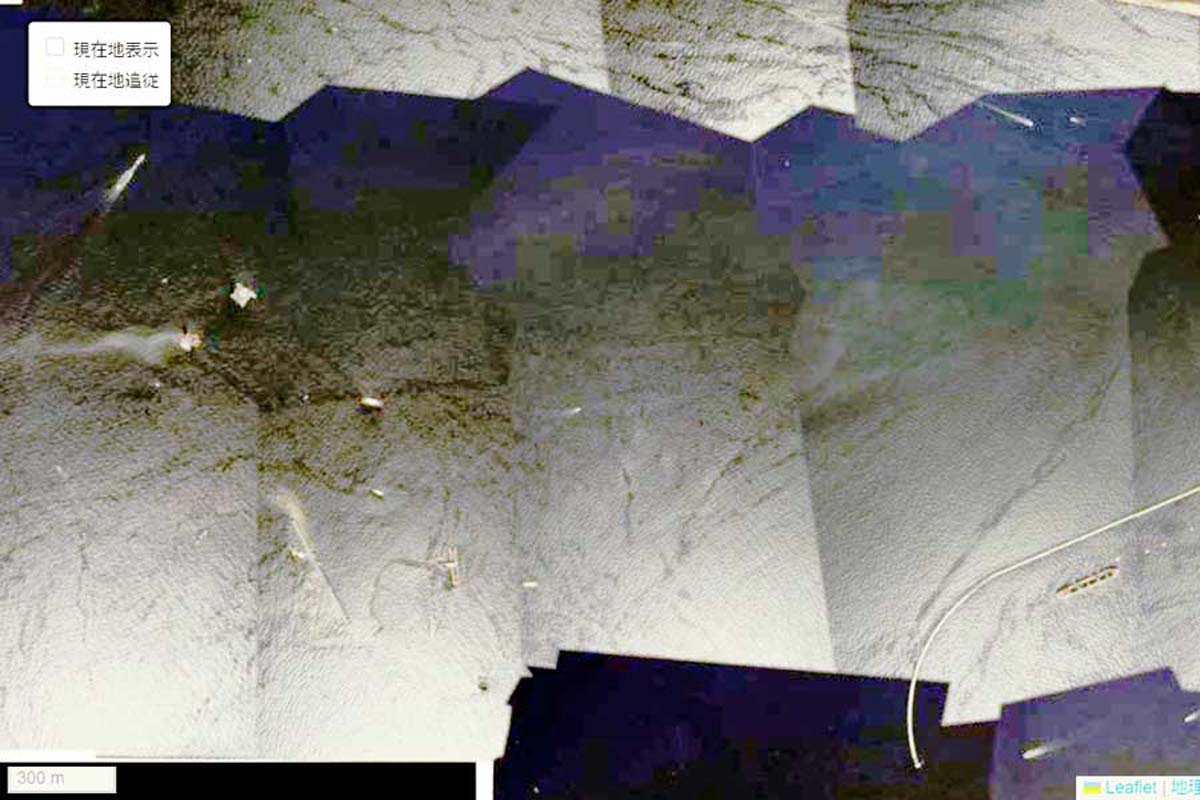 1980年頃の夢洲周辺の航空写真（画像：国土地理院）