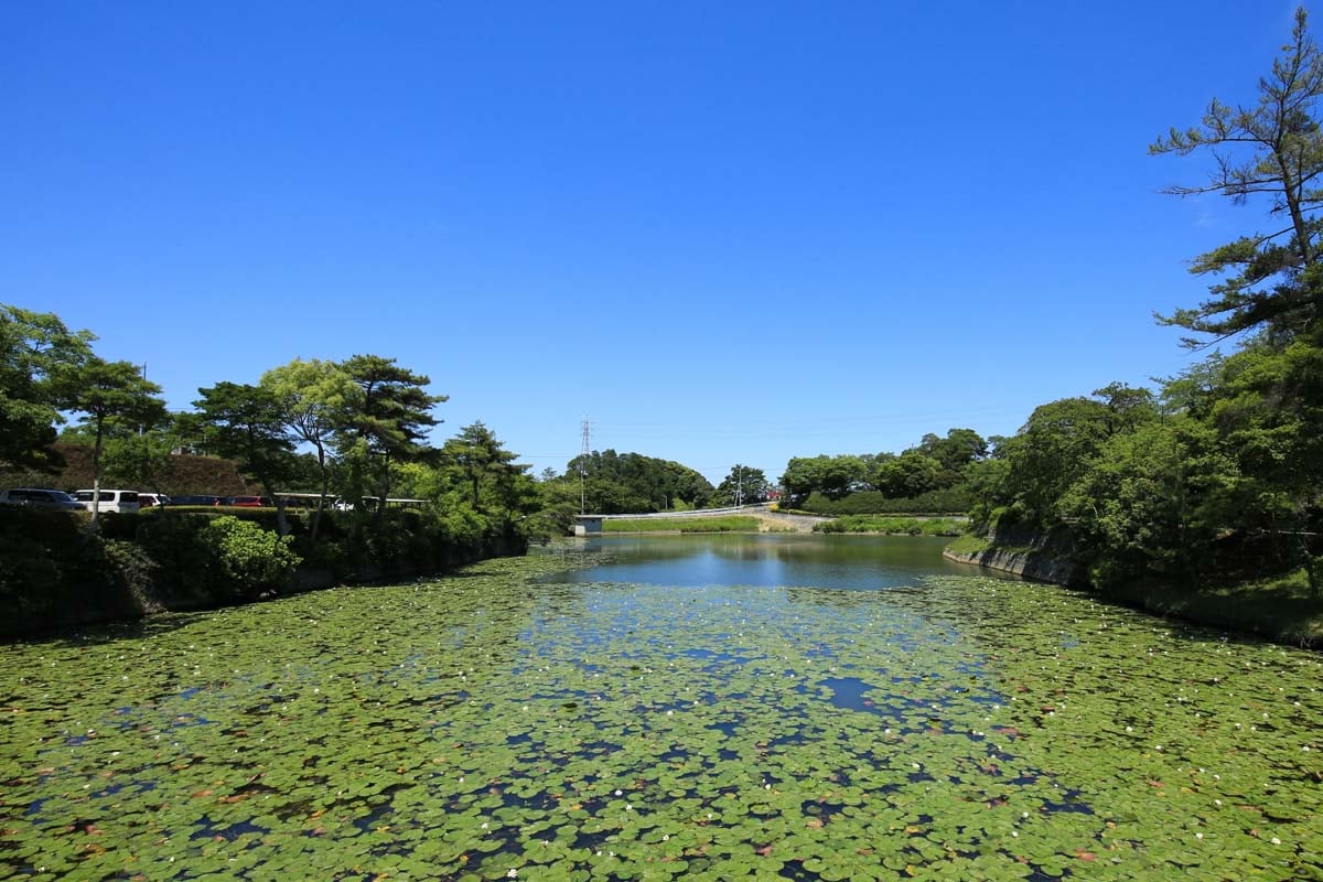 今治市（画像：写真AC）