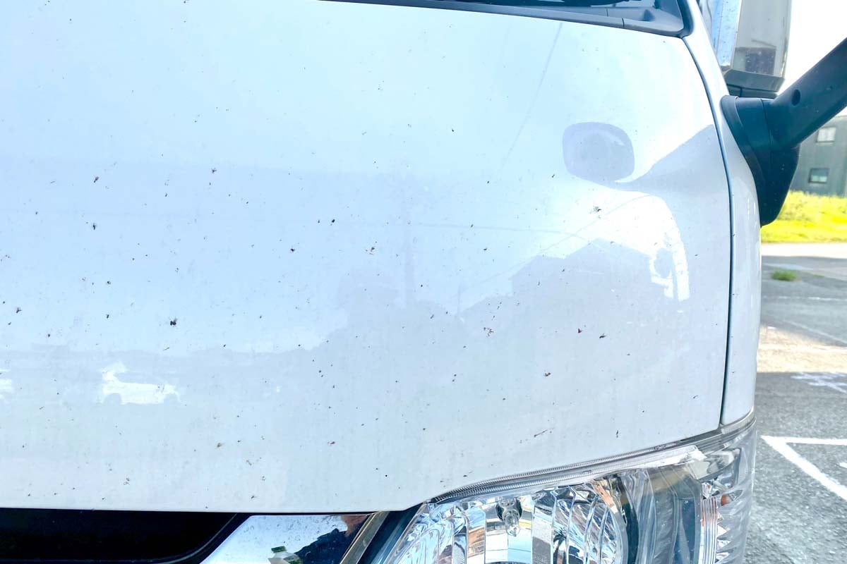 虫だらけで汚れた車(画像:写真AC)