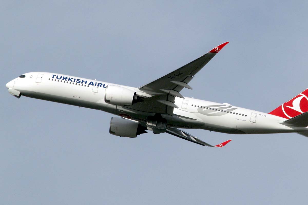 エアバスA350-900（画像：jounigripen）