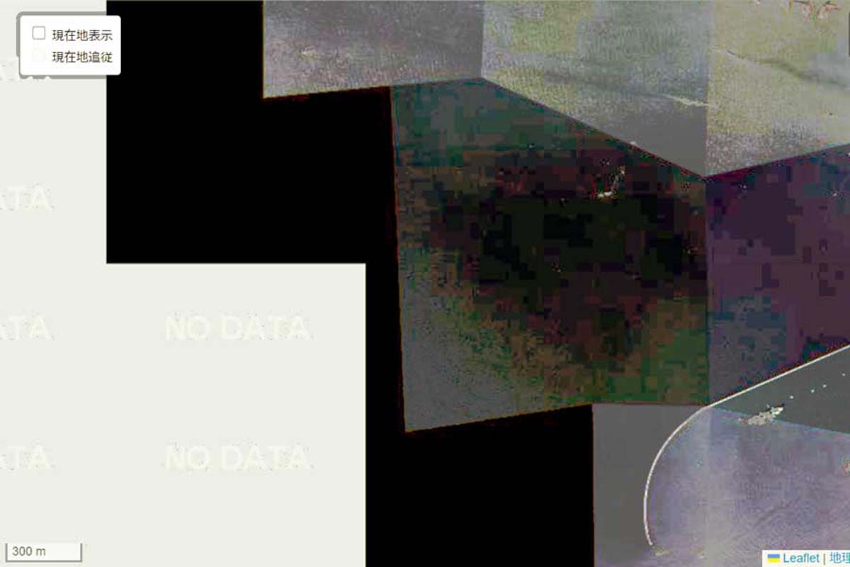 1975年頃の「夢洲駅」周辺の航空写真（画像：国土地理院）