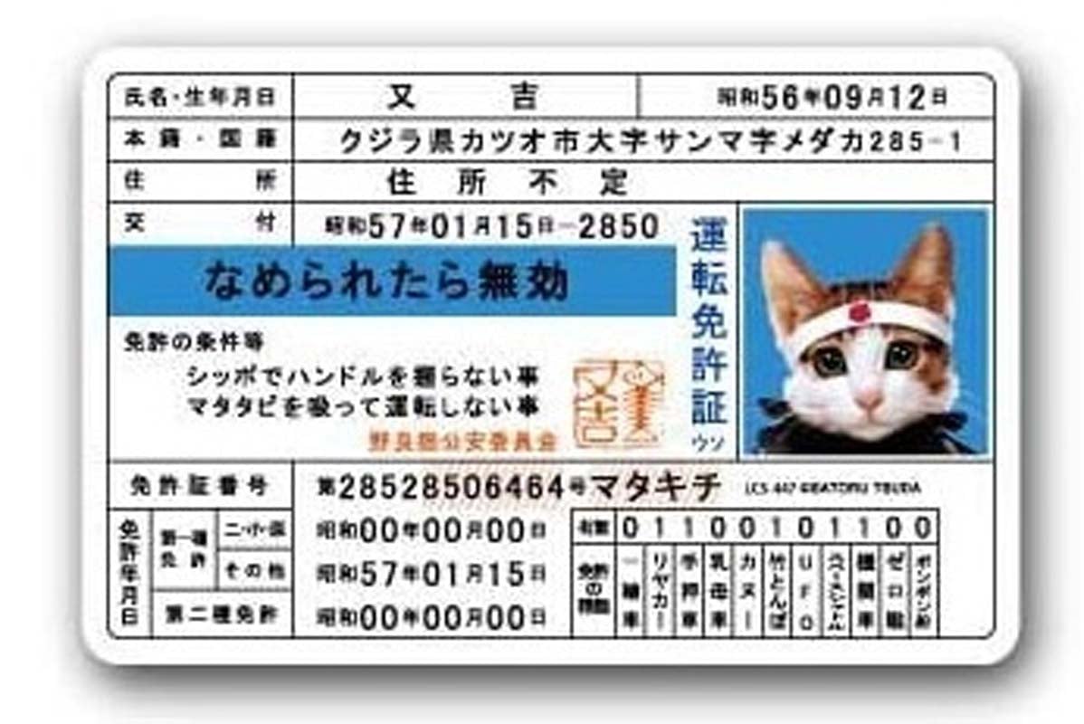 なぜ「なめ猫免許証」は1200万枚も売れたのか？――権威を遊びに変え、若者心理を掌握した社会現象を再考する