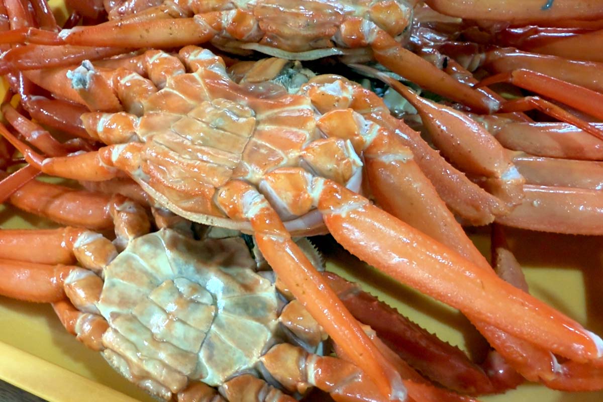 食べ放題イメージ（画像：写真AC）