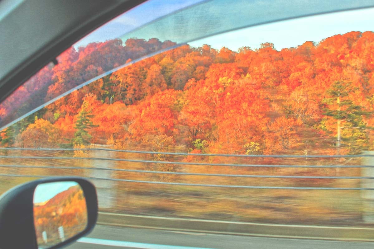 秋の行楽イメージ（画像：写真AC）
