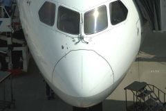 「鳴き声うるさい」 ネット批判渦巻く飛行機「ペット同伴」――反対が62%！ 高まる旅行需要の狭間で問われる公共性