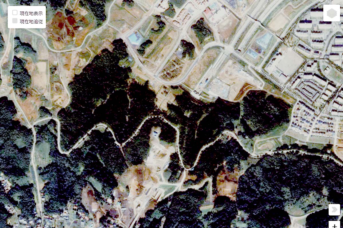 1990年頃の「戦車道路」周辺の航空写真（画像：国土地理院）