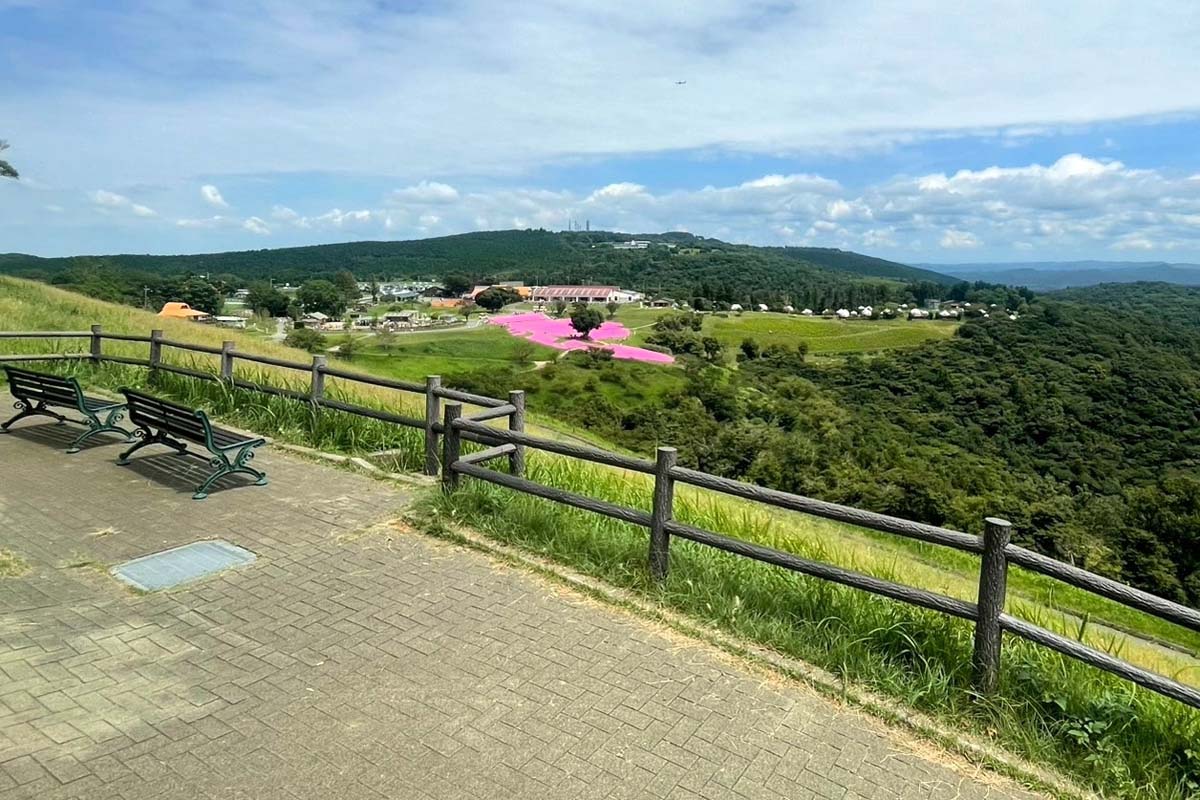 マザー牧場（画像：写真AC）