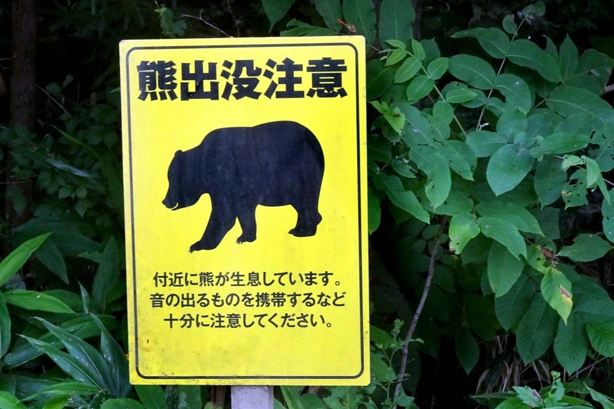 「クマ被害」過去最多12人死亡！ 通勤・通学ルートにも迫る都市近郊リスクーー「移動防衛網」は今から間に合うのか？