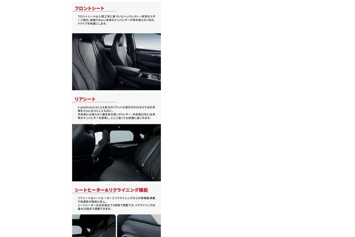 BYD 楽天市場店のウェブサイト（画像：BYD JAPAN）