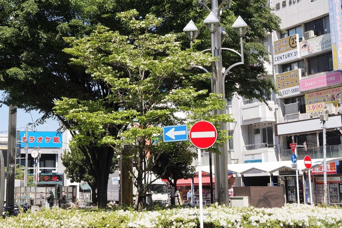 高円寺（画像：写真AC）