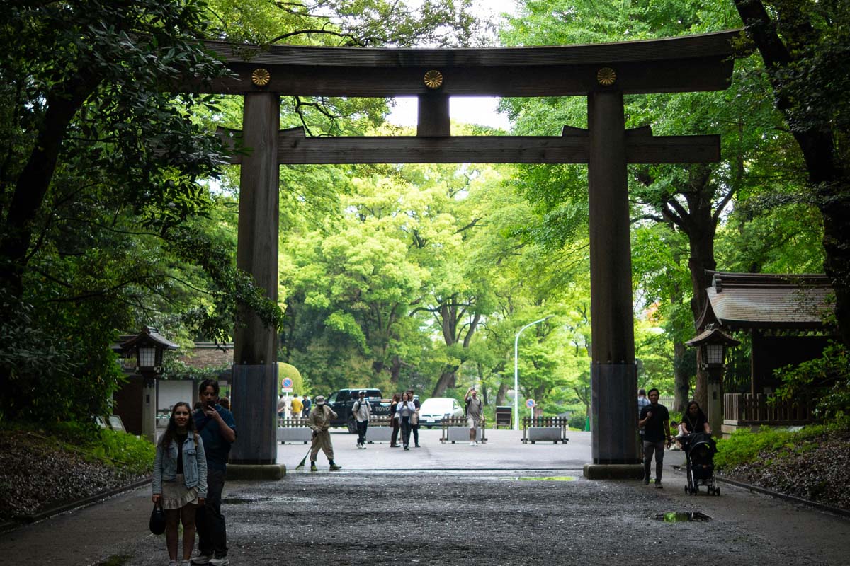 明治神宮（画像：Pexels）