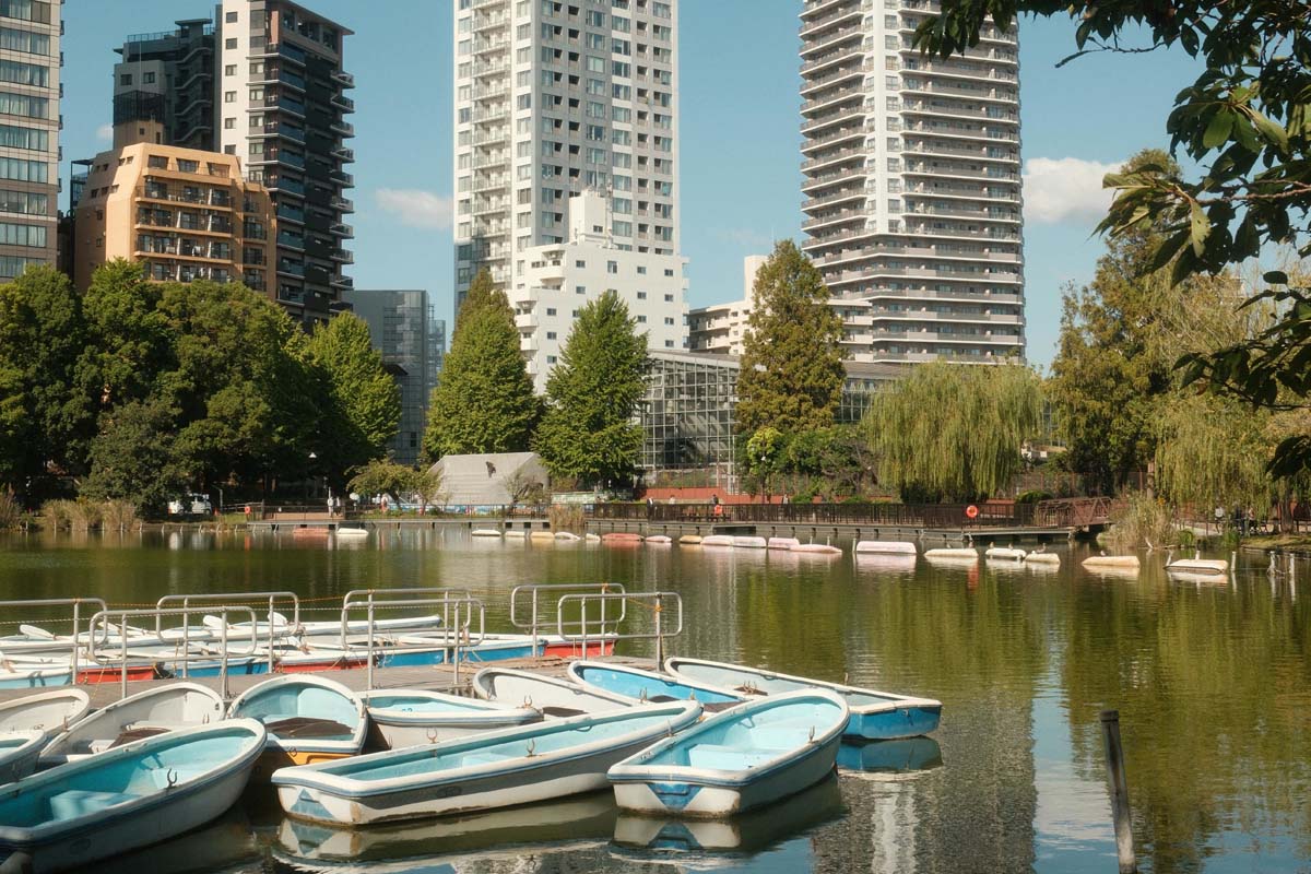 上野恩賜公園(画像:Pexels)