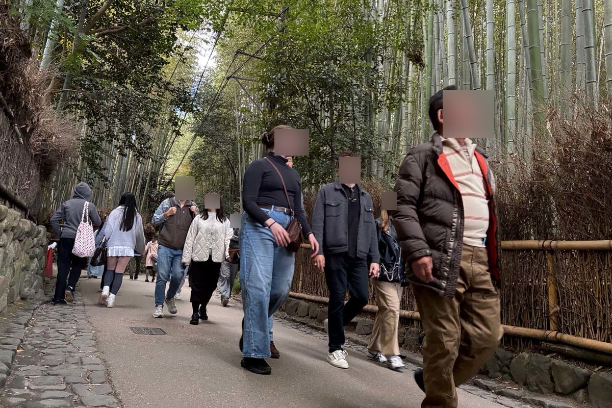 竹林の道を見物する観光客（画像：高田泰）