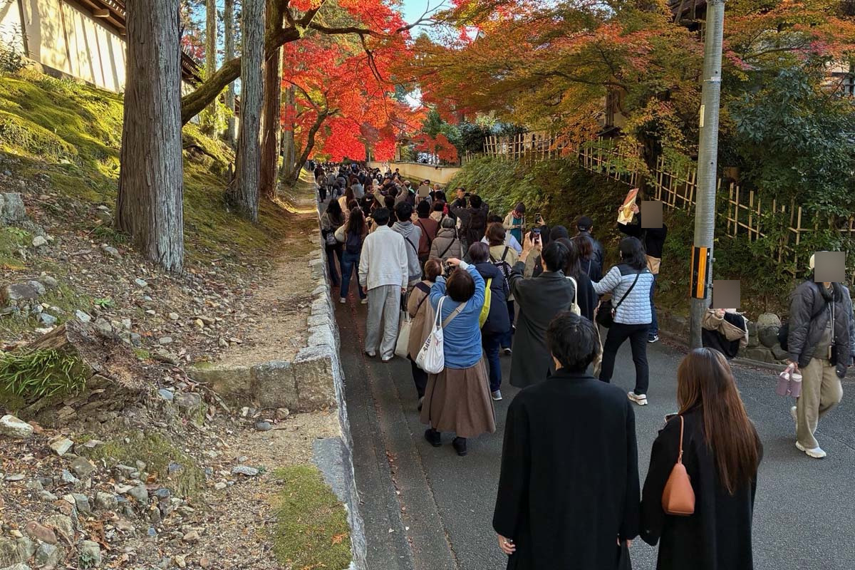 長い行列ができた東福寺周辺（画像：高田泰）
