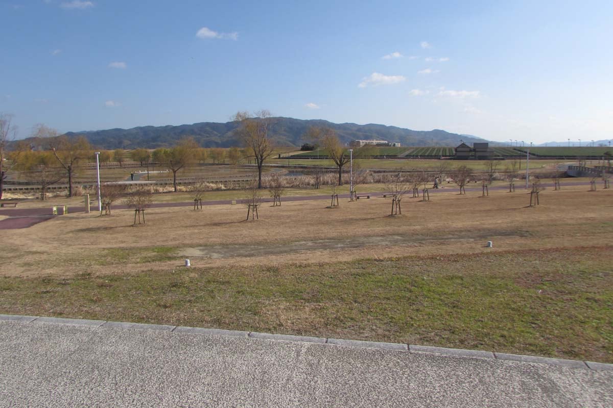 筑後船小屋駅東側に広がる広大な公園（画像：菅原康晴）