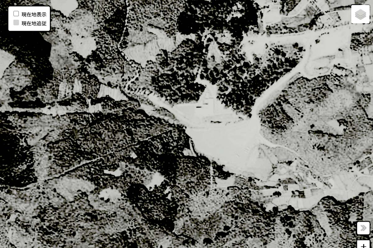 1963年頃に撮影された「宝登山麓駅」周辺の航空写真（画像：国土地理院）