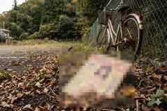 昭和時代、なぜエロ本は「山」「駐車場」に捨てられたのか？――少年の足が支えた非公式流通、移動経済から分析する