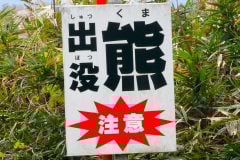 クマ1頭で「列車も高速も止まる」――数千万円の損失を招く衝突事故、物流網の脆さを克服する新たな防衛線とは